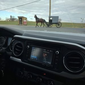 Meet your Posher, Debbie